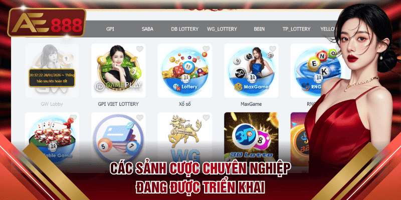 Các sảnh cược chuyên nghiệp đang được triển khai