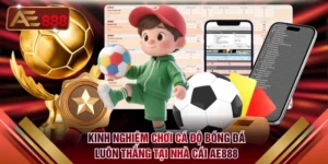 Cá Độ Bóng Đá